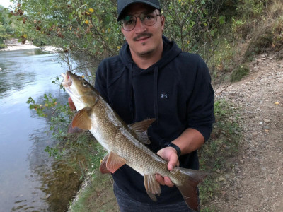 peche poisson dordogne