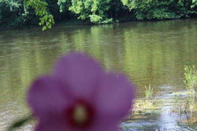 Dordogne camping la verte rive